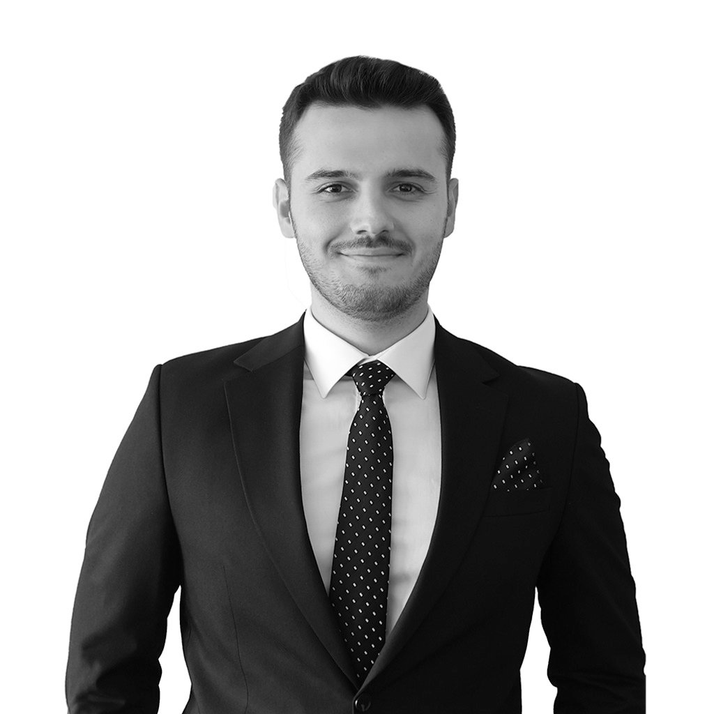 Hüseyin Berke DEMİR